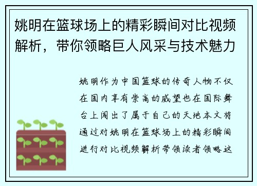 姚明在篮球场上的精彩瞬间对比视频解析，带你领略巨人风采与技术魅力