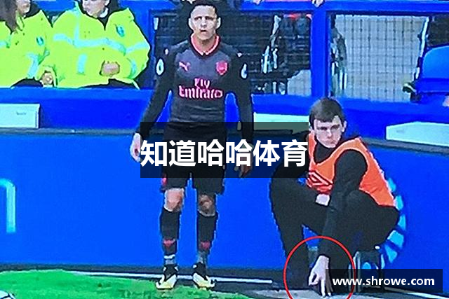 知道哈哈体育